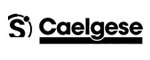 logo caelgese