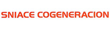 Sniace cogeneracion